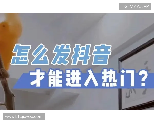 J9直播平台官网最新入口地址全面解析，帮助玩家轻松进入畅享精彩游戏直播体验